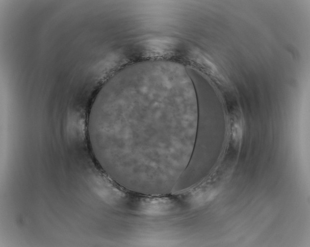X0000111010716200906261519