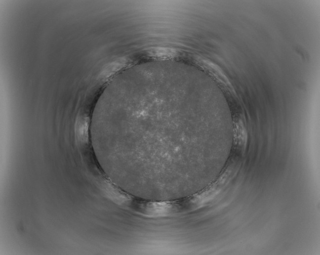 X0000111010717200906261519