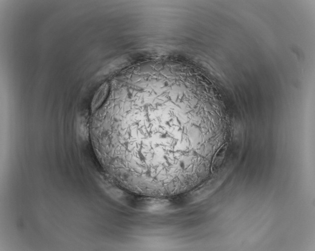 X0000111010719200906261519