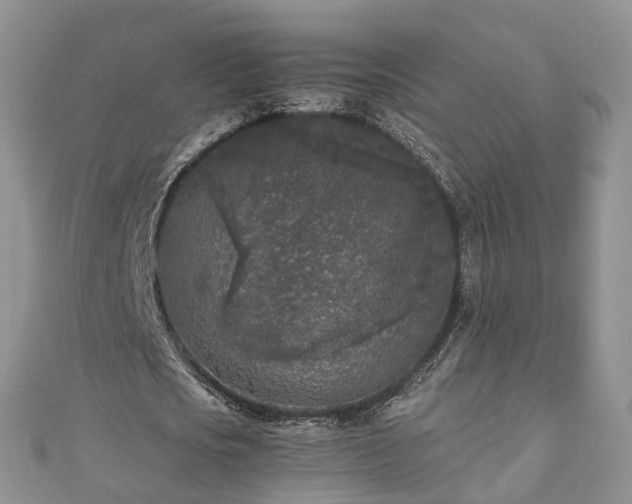 X0000111010721200906261519