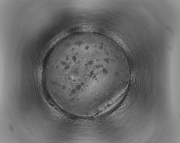 X0000111010722200906261519