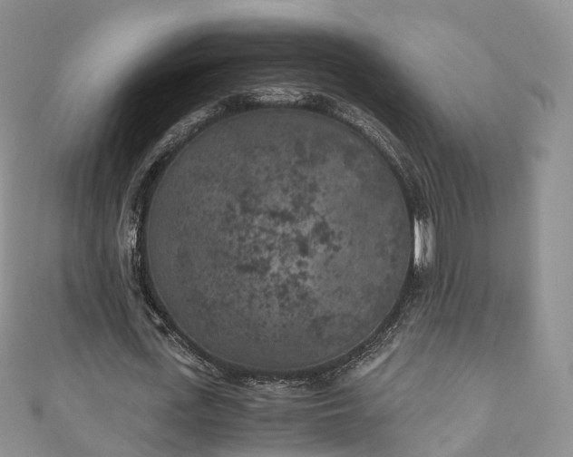 X0000111010723200906261519