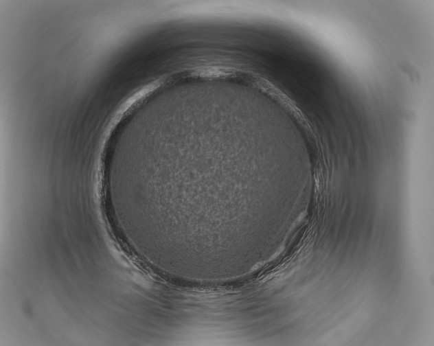 X0000111010724200906261519