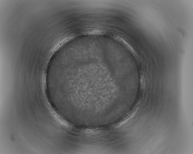 X0000111010725200906261519