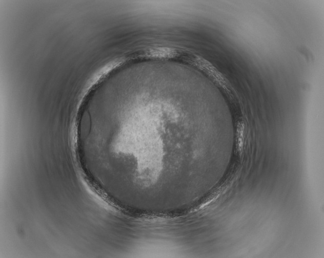 X0000111010726200906261519