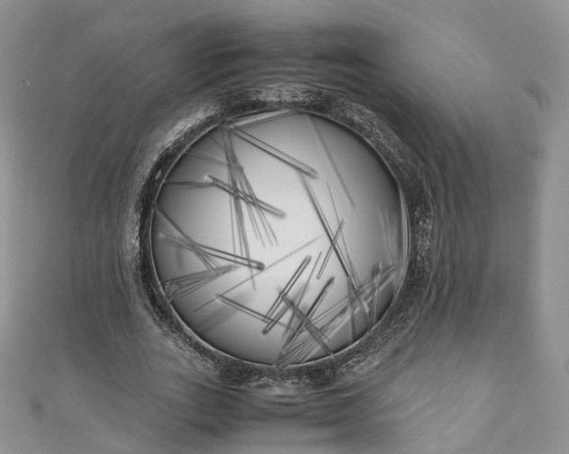 X0000111010727200906261519