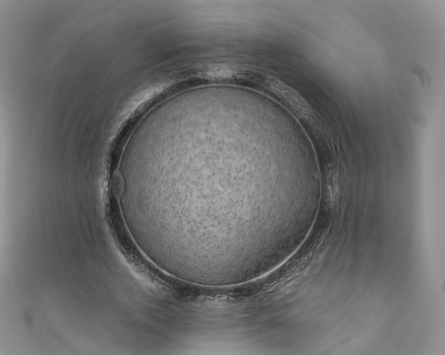 X0000111010728200906261519