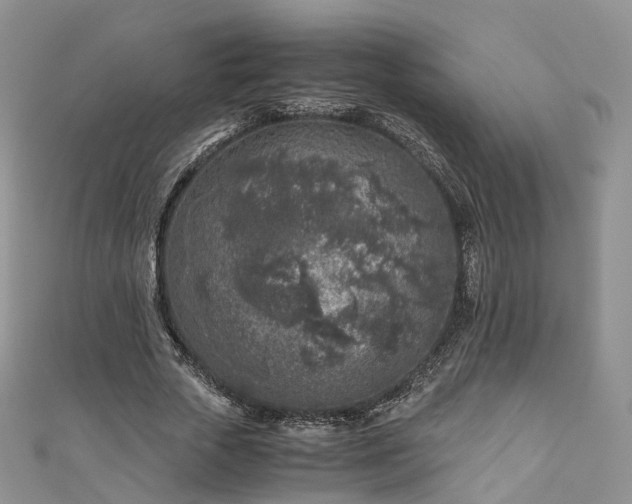 X0000111010729200906261519