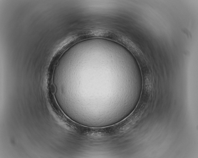 X0000111010730200906261519