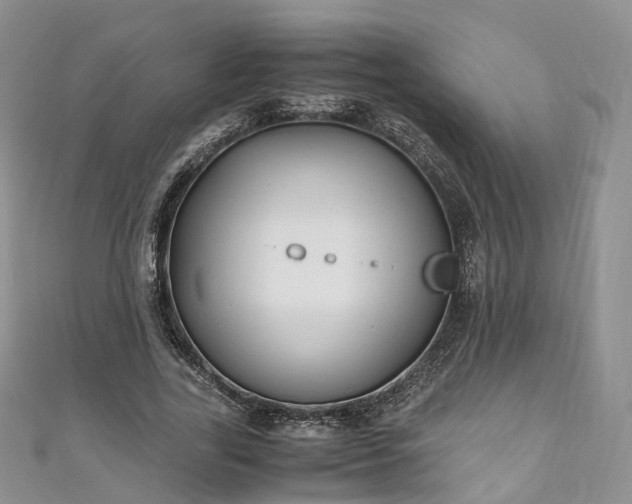 X0000111010731200906261519