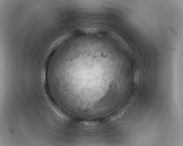 X0000111010733200906261519