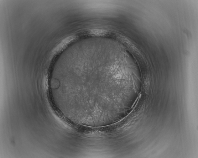 X0000111010734200906261519