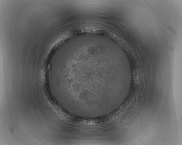 X0000111010735200906261519