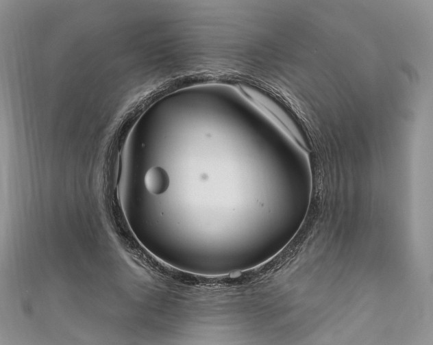 X0000111010736200906261519