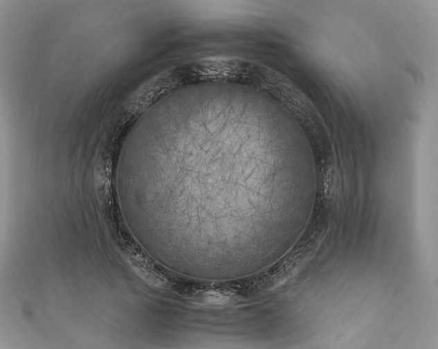 X0000111010737200906261519