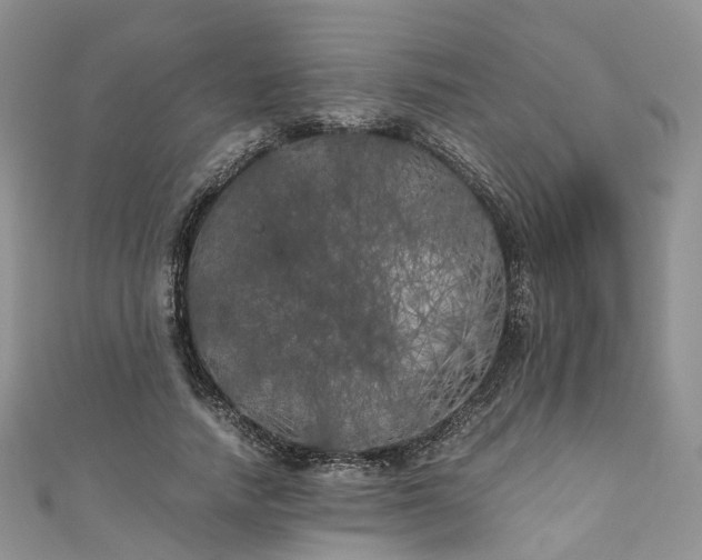 X0000111010738200906261519