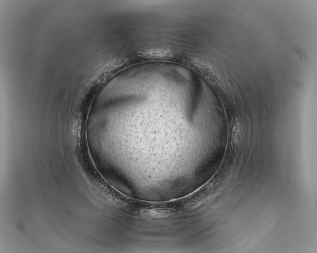 X0000111010739200906261519