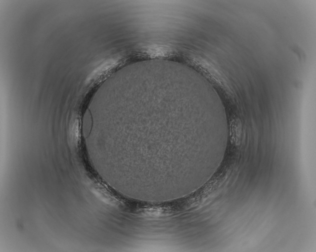 X0000111010740200906261519