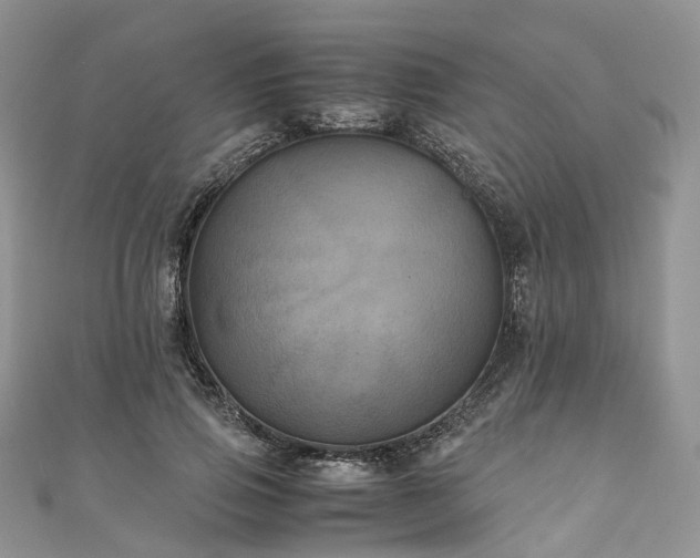X0000111010741200906261519
