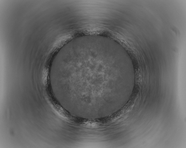 X0000111010742200906261519