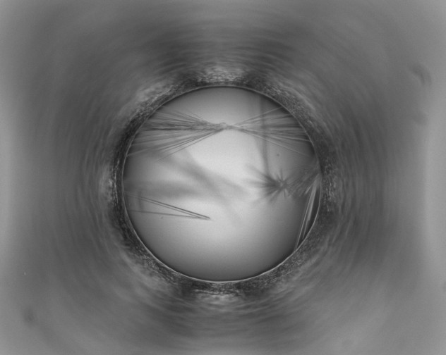 X0000111010743200906261519