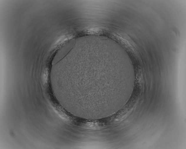 X0000111010744200906261519