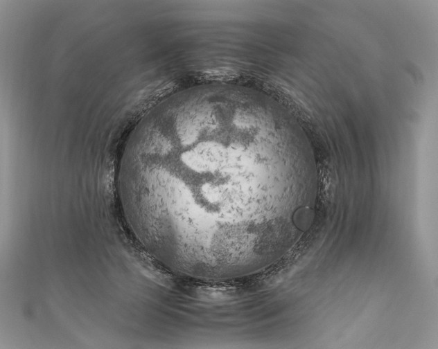 X0000111010745200906261519