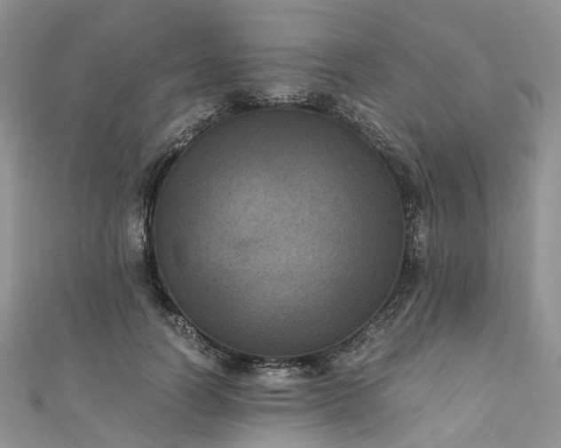 X0000111010746200906261519