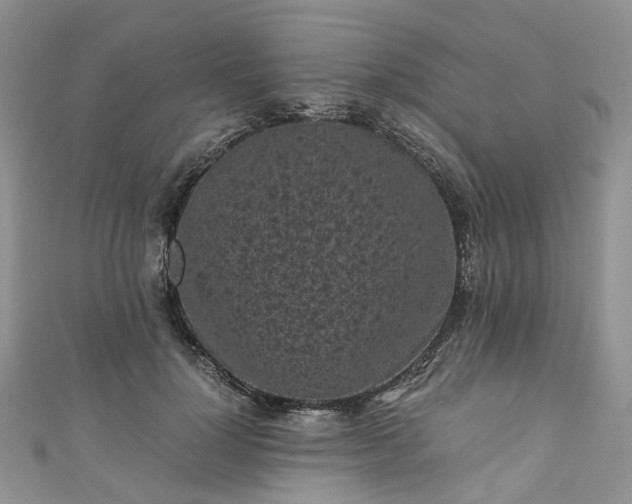 X0000111010748200906261519