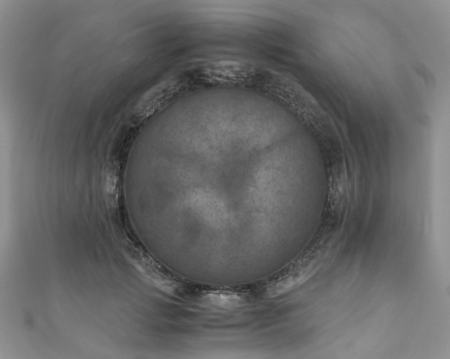 X0000111010749200906261519