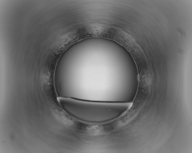 X0000111010750200906261519