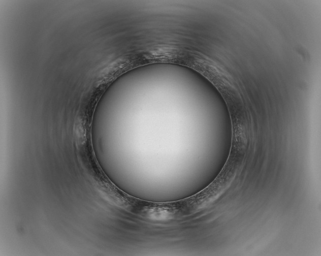 X0000111010751200906261519