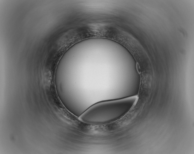 X0000111010752200906261519