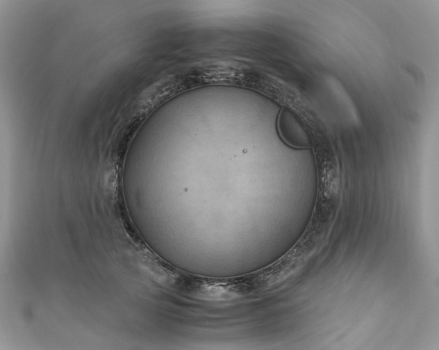 X0000111010753200906261519