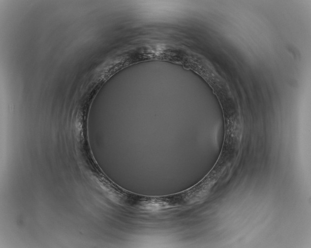 X0000111010754200906261519