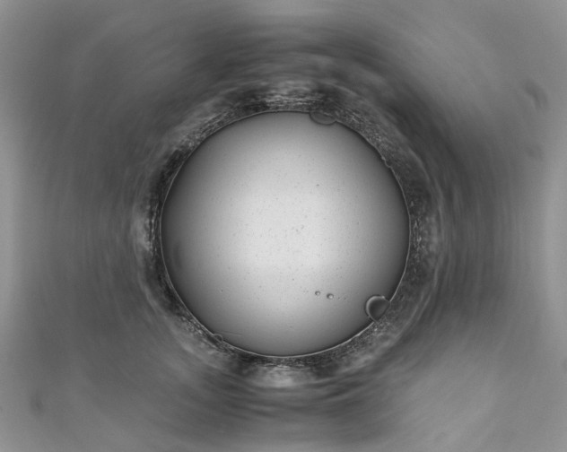 X0000111010755200906261519