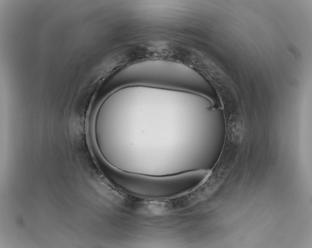 X0000111010756200906261519