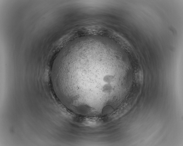 X0000111010757200906261519