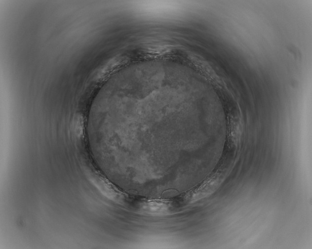 X0000111010758200906261519