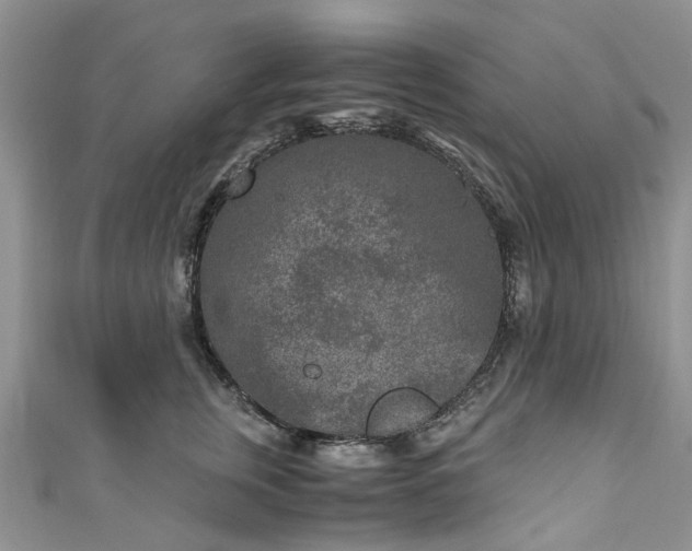 X0000111010759200906261519