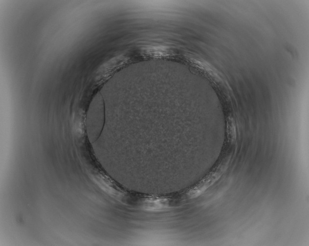 X0000111010760200906261519