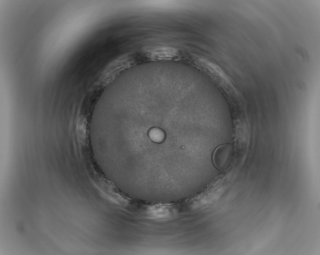 X0000111010761200906261519