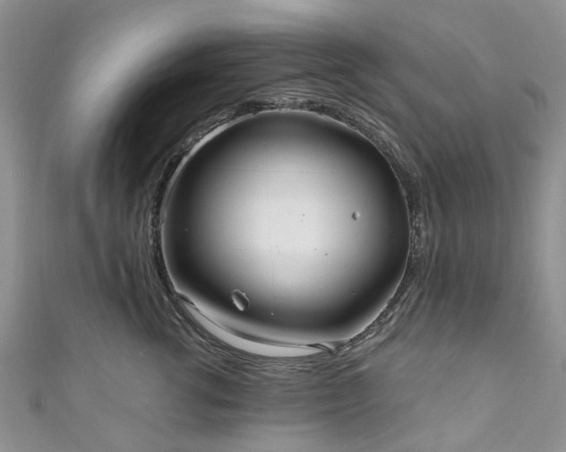 X0000111010762200906261519