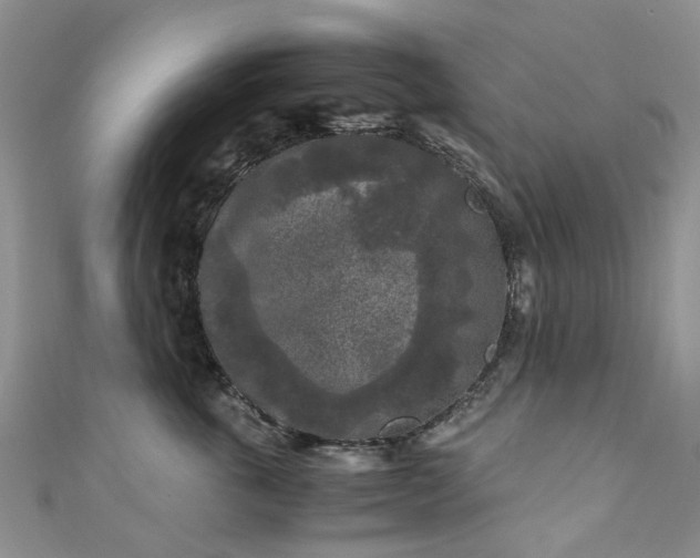 X0000111010763200906261519