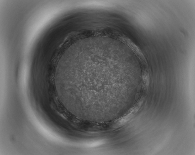 X0000111010765200906261519