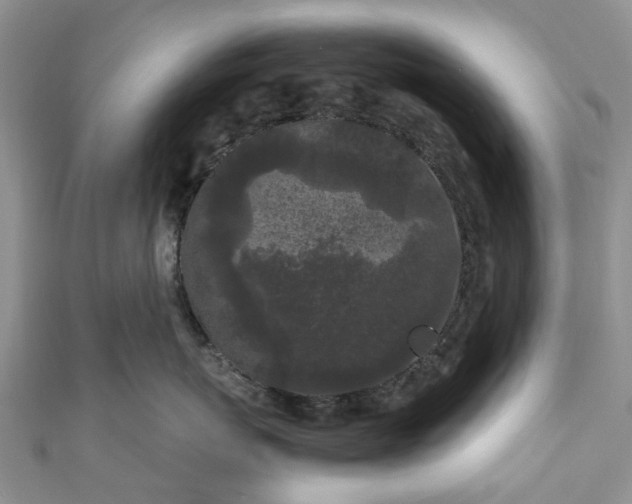 X0000111010767200906261519