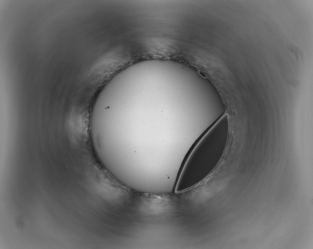 X0000111010768200906261519