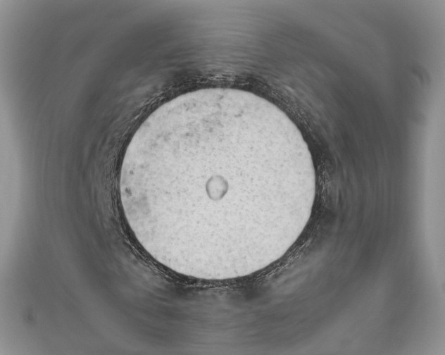 X0000111010769200906261519
