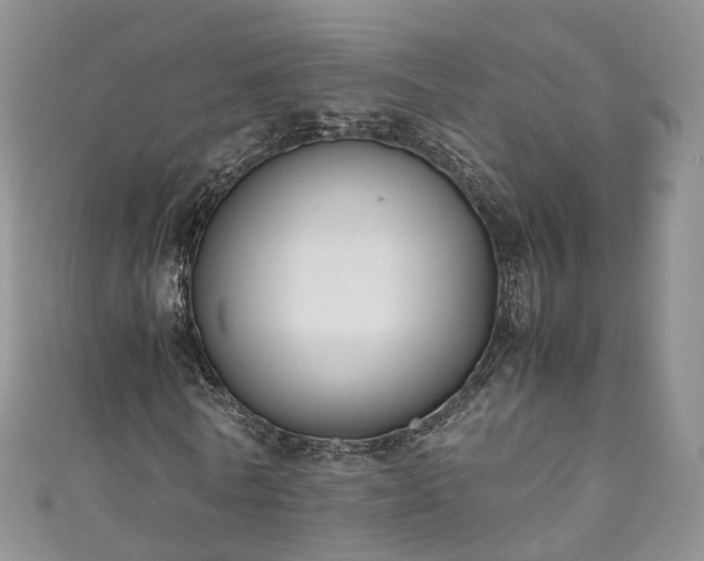 X0000111010770200906261519