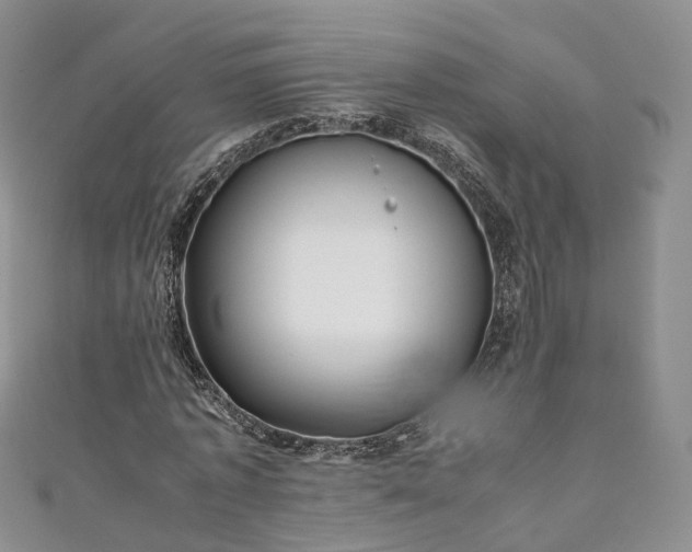 X0000111010773200906261519